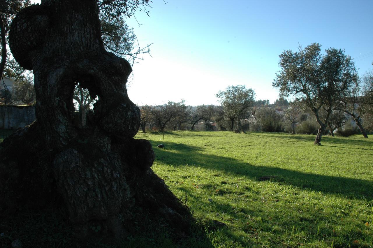 Quinta Do Lagar Da Moira Vila Franca da Serra Bagian luar foto